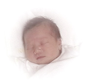 �D�P�̎d��