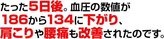 ���������P�v���O����